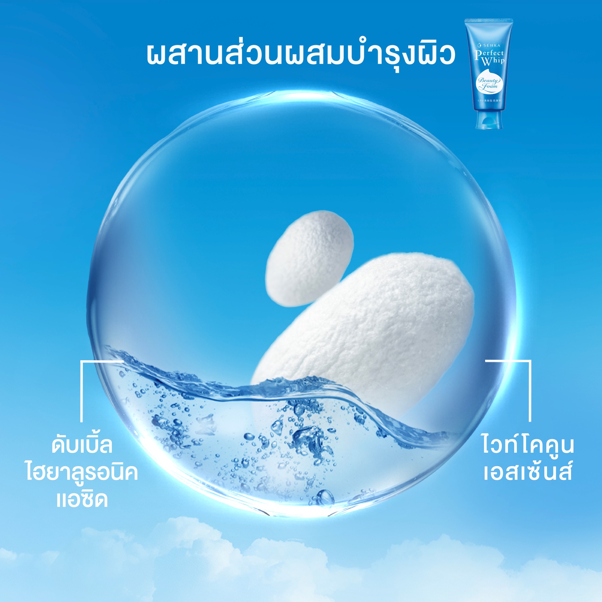 Senka Perfect Whip Beauty Foam 120g,Senka สูตรใหม่, โฟมล้างหน้า senka ,perfect whip สูตรไหนดี,senka perfect whip สีไหนดี